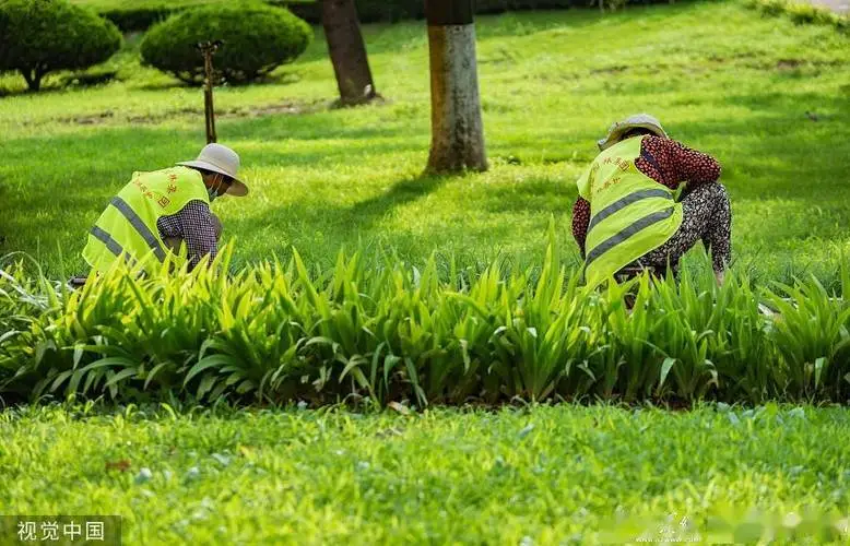 15万元园林景观设计